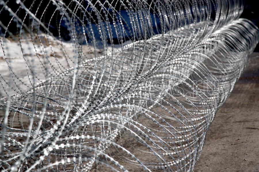 Армированная колючая лента АКЛ-600С ДАБР.425729.069
