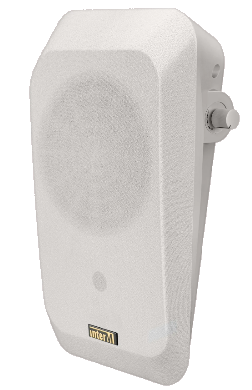 Оповещатель речевой IWS-10A(I)