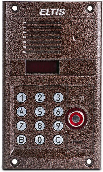 Вызывная видеопанель DP400-TDC22 (бронза-антик металлик)