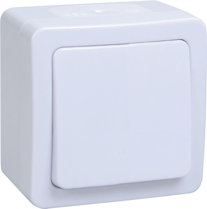 Выключатель EVMP10-K01-10-54-EC ∙ ВС20-1-0-ГПБ выкл 1кл о/у IP54 (цвет клавиш: белый) ГЕРМЕС PLUS